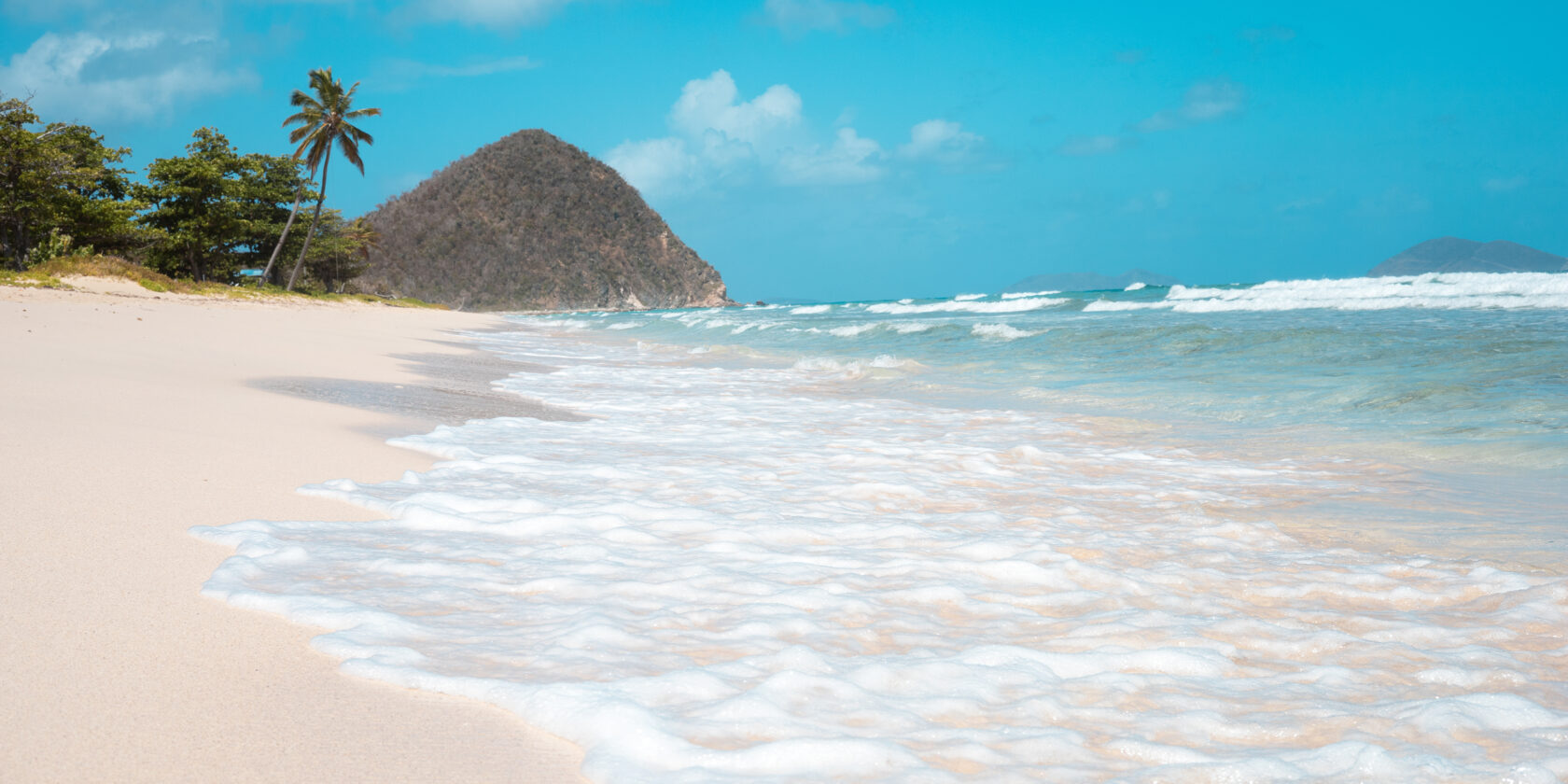 A beach on the island of Tortola with waves and palm trees